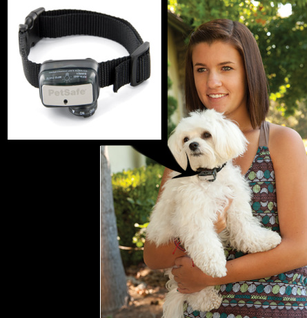 Pet Safe LIttle Dog Bark Collar Deluxe
